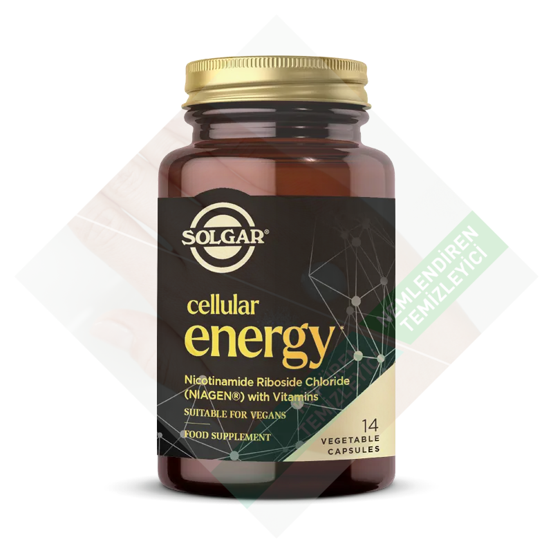 Solgar Cellular Energy Takviye Edici Gıda 14 Bitkisel Kapsül